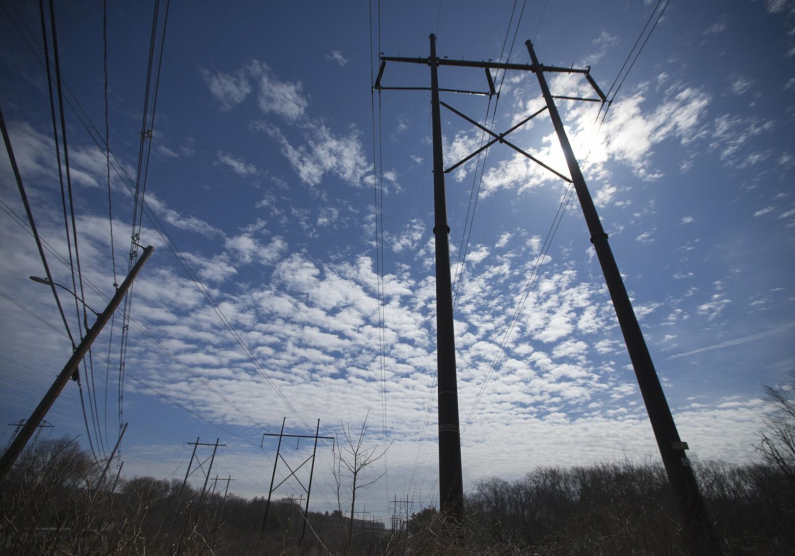 Powerlines in Medway, MA. Photo by Jesse Costa for WBUR