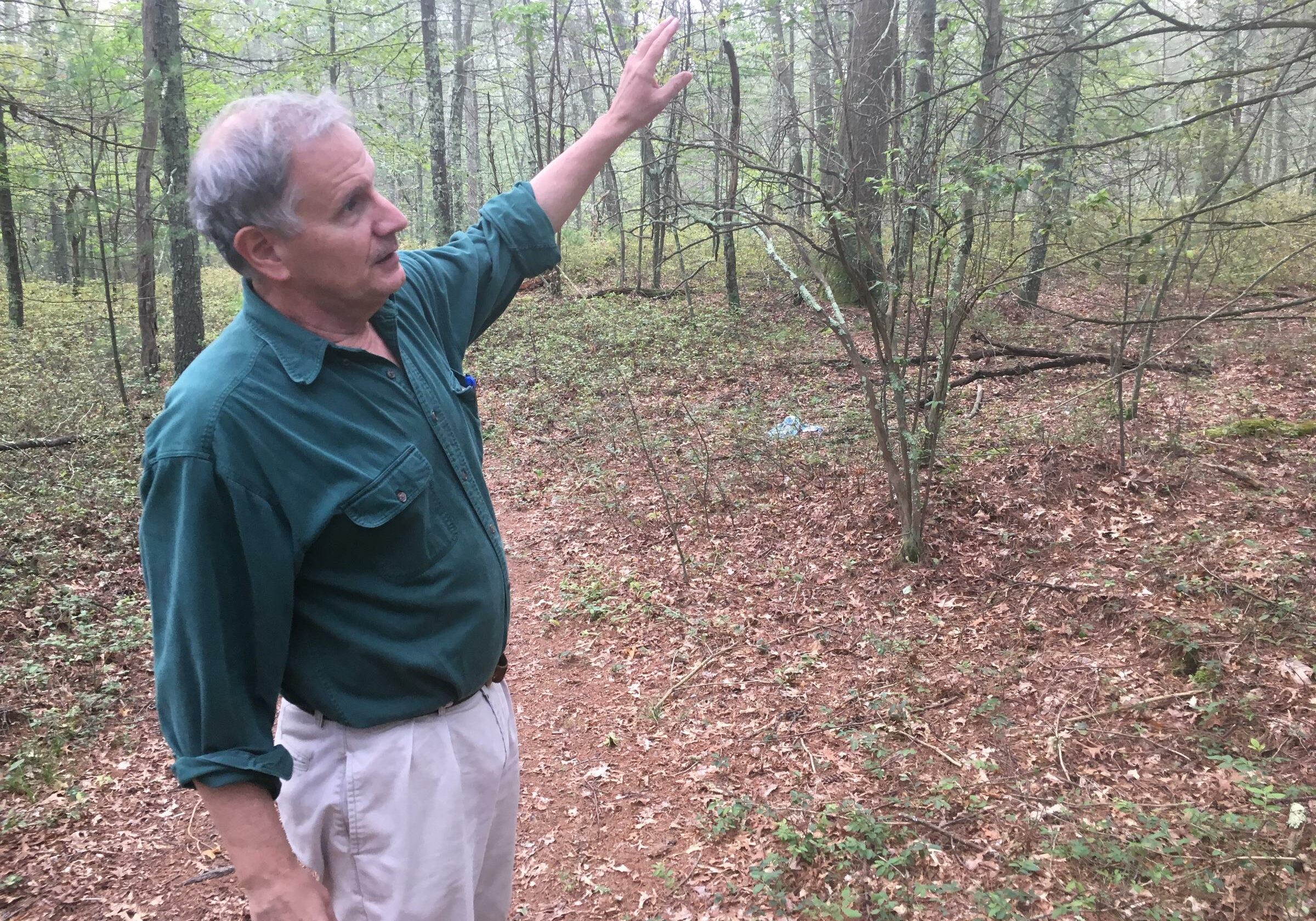 Bill Eccleston, self-proclaimed woodsman and former co-chair of Burrillville's first Comprehensive Planning Committee, discusses the habitat and species found in the George Washington Wildlife Management Area on Sept. 5, 2017. Photo by Fred Bever for Maine Public
