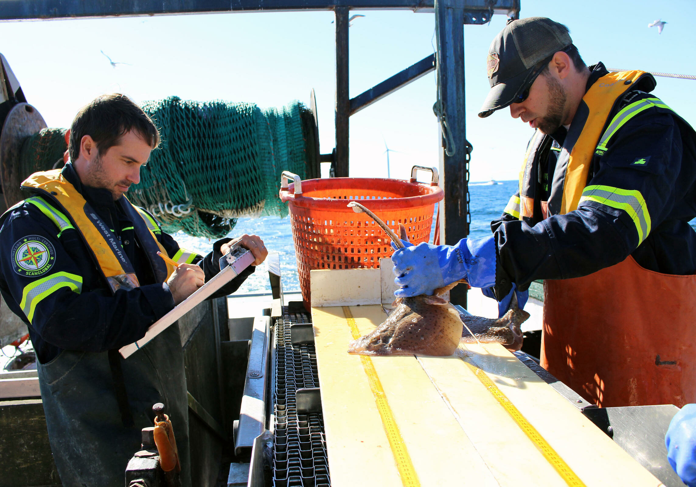 Matthew Griffin and Brian Jenkins measure and weigh all fish species caught for research on the Block Island Wind Farm's potential impacts to fish.
Photo credit: Ambar Espinoza 