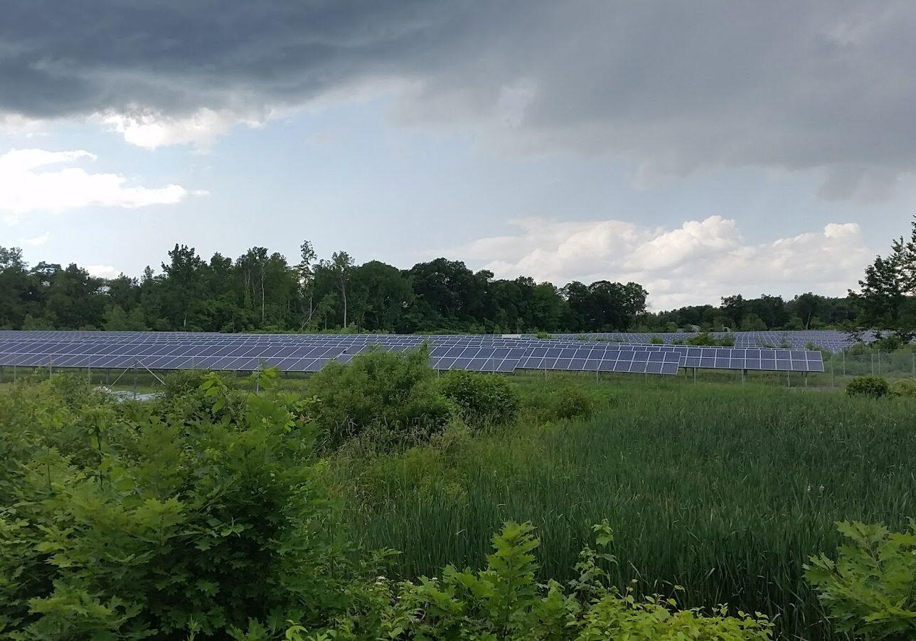 Farmer Kevin Sullivan rents a portion of his land to a solar company. "The money that comes off that acreage exceeds anything else I could do out there," 